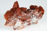 Natural, Red Quartz Crystal Cluster - Morocco #181569-1